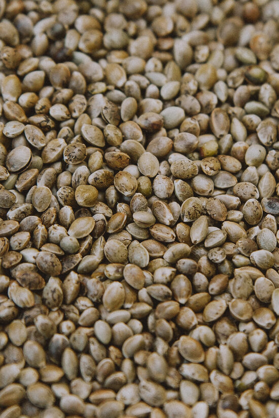 Hemp e-consultation