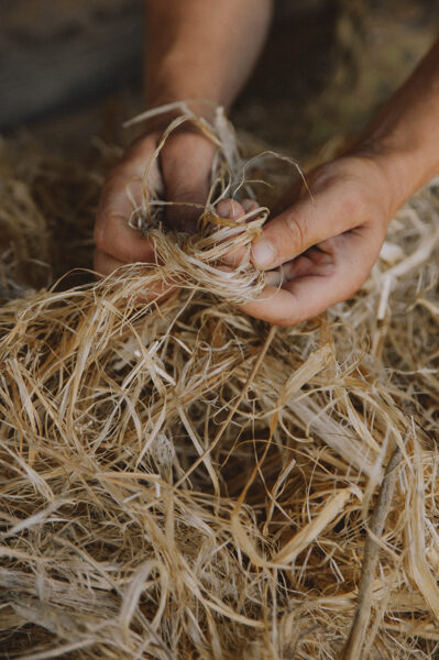 Hemp fiber processing - online course 