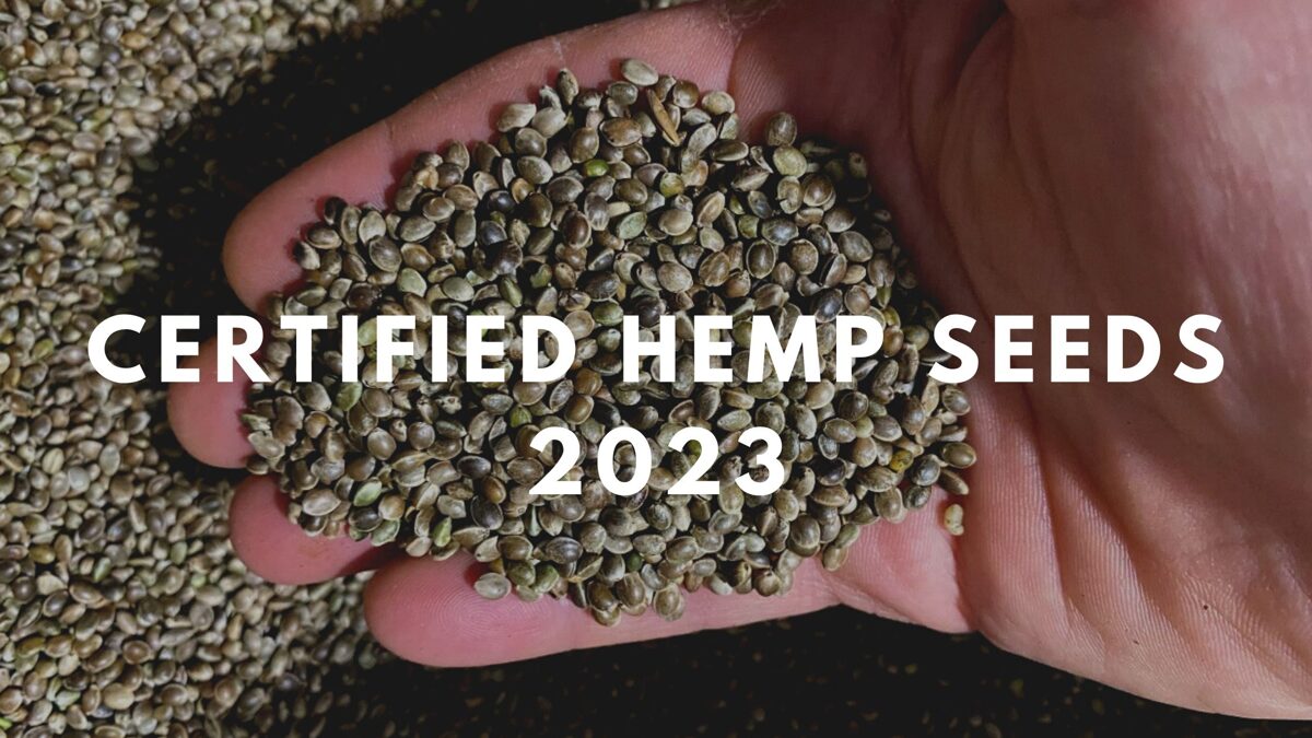 We answer the most asked questions about hemp hearts – The Hemp Blog